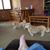 Lori Camoro's profile image