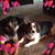 Terri McBride's profile image