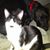 Jody Martin Anderson's profile image