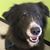 Nanette Troutman's profile image