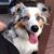 Lois J Jones's profile image