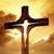 Nicole Tracie Boyd's profile image