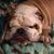 Ziva Vasquez's profile image