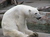 Molly B.'s profile image
