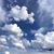 Korina Stauffer Moran's profile image