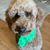 Megan Sarber Fogel's profile image