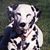 Jay Ihrke's profile image