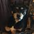 Christine Mary's profile image