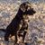 Fred Michaud's profile image