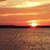 Sue Roberts Bongiovanni's profile image