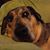 Teresa Ewell's profile image