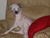 teresa h.'s profile image