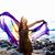 Alyssa Winlai's profile image