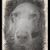 Keith Franklin's profile image