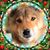 Howard S. Berger's profile image