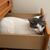 Kathleen Loucks's profile image