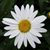 Barbara Ann Nichols Sharp's profile image