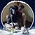 Kimberly Janeczek's profile image