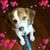 Kasia Thacher's profile image