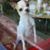 Shari Pollack's profile image