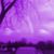 Eric Capps's profile image