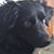 Janice Webber Sharples's profile image