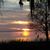 Cynthia Samons Neudigate's profile image