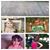 Lacey Thomas's profile image