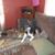 Peggy Shuping's profile image