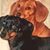 Diane Heng's profile image