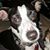 Mark Harris's profile image