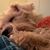 Lysanne Wade Matthews's profile image