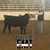 Dylan Kiser's profile image