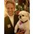 Lib Jones's profile image