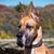 Mary Ann Land's profile image