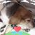 Charla Patrick's profile image