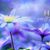 JoEllen Lee's profile image