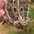 Debbie Daugherty's profile image