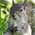 Vickie Campbell's profile image
