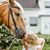 Malin Jeppsson's profile image