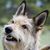 Erica Henner Max's profile image