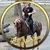 Neil Haarer's profile image