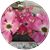 StephanieAnne Thompson's profile image