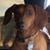 Sussie Due's profile image