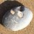 Anthony William Hubbard's profile image