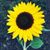 Melissa Platt-Krause's profile image