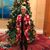 Sheri Ann Turner's profile image