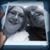 Misty Phillips's profile image