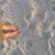 Lorraine Hurlbert's profile image