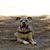 Riannon Bright's profile image